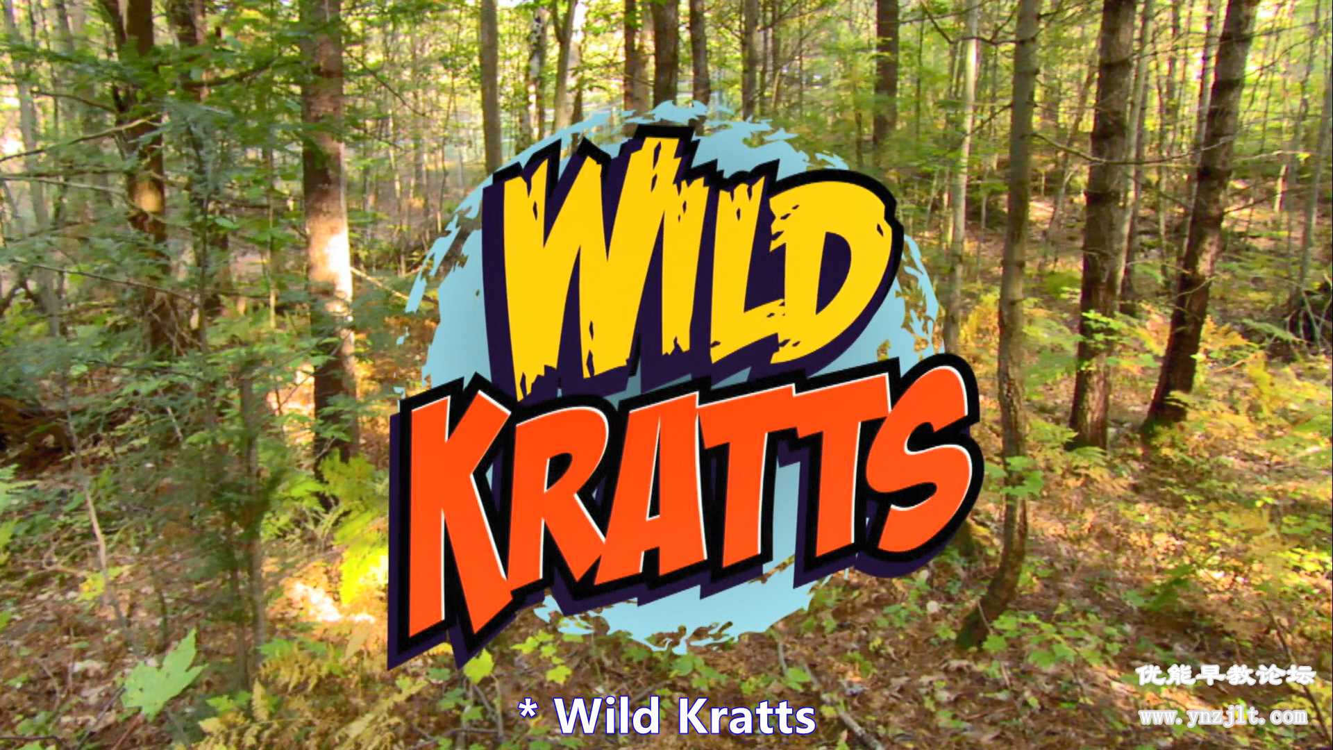 《动物兄弟 Wild.Kratts 》1-5季英文版动画片全集下载
